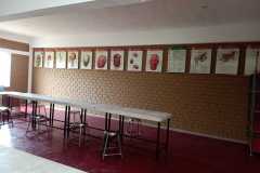 WhatsApp-Image-2022-01-15-at-10.31.28-AM-2