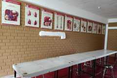 WhatsApp-Image-2022-01-15-at-10.31.28-AM